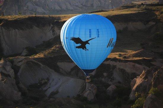 Turquaz Balloons